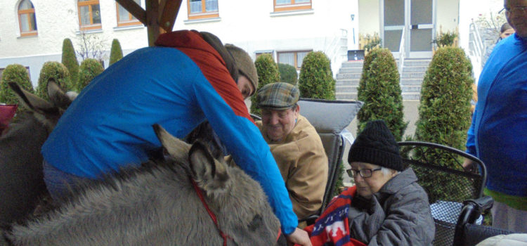 Besuch vom Weihnachtsesel Besuch vom Weihnachtsesel